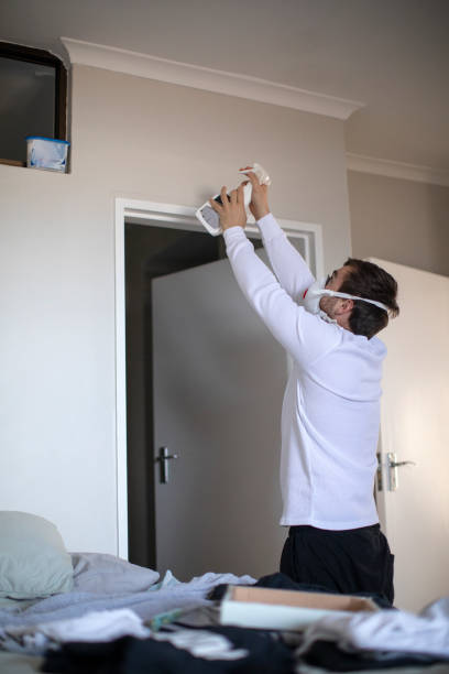 Best Mold Remediation for Healthcare Facilities  in Clay City, IN