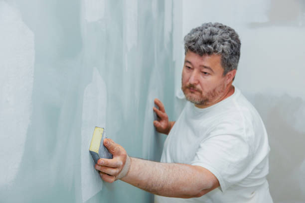 Mold Documentation for Insurance Claims in Clay City, IN