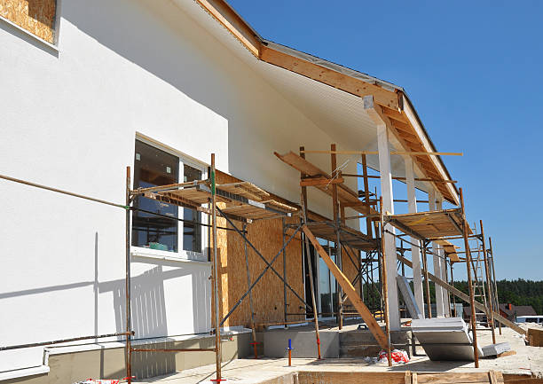 Best Real Estate Mold Inspection  in Clay City, IN