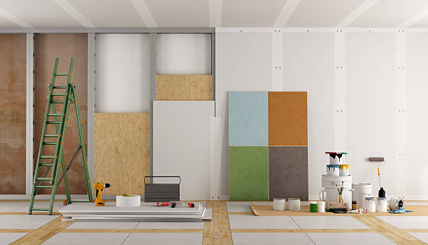 Best Attic Mold Removal  in Clay City, IN