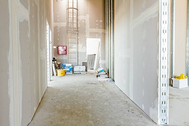 Best Residential Mold Inspection & Testing  in Clay City, IN